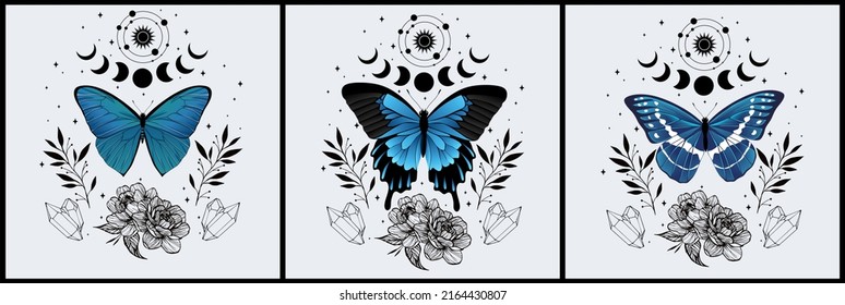 Magic blue art vector set. Decorative symbolic moth, planets, herbs and stars. Black contour sketches, vector mythology set.