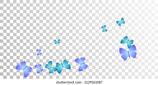 Magic blue butterflies abstract vector wallpaper. Spring colorful moths. Decorative butterflies abstract baby illustration. Delicate wings insects graphic design. Fragile creatures.