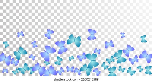 Magic blue butterflies cartoon vector background. Summer beautiful insects. Simple butterflies cartoon fantasy illustration. Gentle wings moths patten. Nature beings.