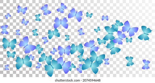 Magic blue butterflies isolated vector illustration. Spring little moths. Detailed butterflies isolated fantasy background. Gentle wings insects graphic design. Tropical creatures.