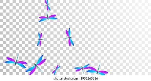 Magic blue purple dragonfly cartoon vector illustration. Summer beautiful insects. Decorative dragonfly cartoon children background. Delicate wings damselflies graphic design. Fragile beings