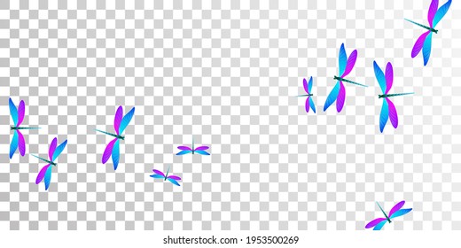 Magic blue purple dragonfly flat vector wallpaper. Summer funny damselflies. Decorative dragonfly flat children illustration. Delicate wings insects patten. Nature beings