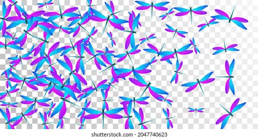 Magic blue purple dragonfly flat vector wallpaper. Summer colorful damselflies. Detailed dragonfly flat kids illustration. Tender wings insects patten. Fragile beings