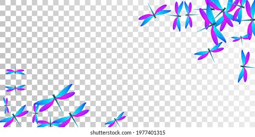 Magic blue purple dragonfly isolated vector background. Summer ornate insects. Detailed dragonfly isolated children wallpaper. Delicate wings damselflies graphic design. Fragile creatures