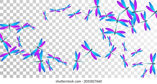 Magic blue purple dragonfly isolated vector wallpaper. Spring vivid damselflies. Wild dragonfly isolated baby illustration. Sensitive wings insects graphic design. Garden creatures