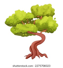 Magic Bonsai tree with twisted trunk, foliage in cartoon style, plant isolated on white background, game ui asset