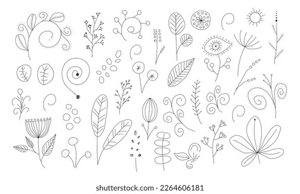 Colección botánica mágica. Ramas, flores y hojas, ilustración vectorial de la mano EPS10