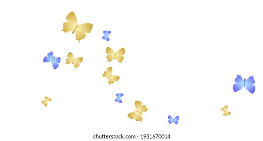 Magic bright butterflies abstract vector wallpaper. Spring beautiful moths. Fancy butterflies abstract dreamy illustration. Gentle wings insects patten. Tropical beings.