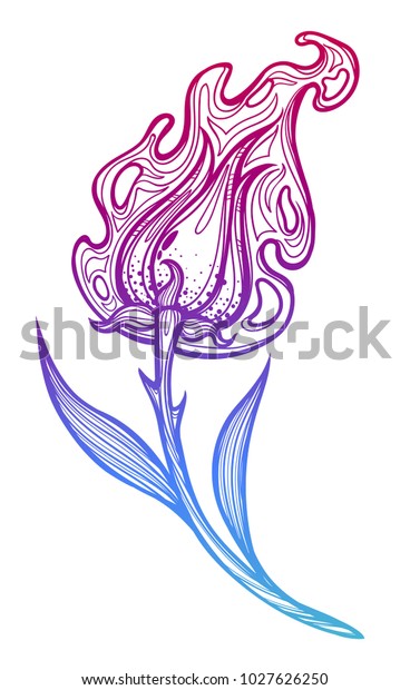 Magic Burning Flower Doodle Drawing Vector Stock Vector (Royalty Free ...
