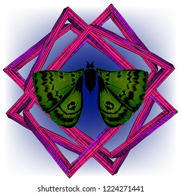 Magic butterfly over geometry. Psychedelic hallucination. Vibrant vector illustration. Sacred geometry symbol with moth over in acid colors. Mystic, alchemy, occult concept. Design shirt print, poster