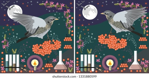Magic cards. Birds with bunch of rowan berries fly in alchemy laboratory in night. Witchcraft.