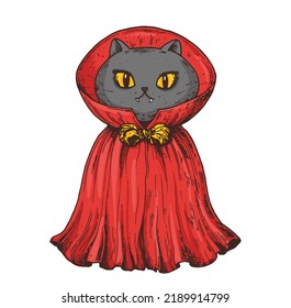 Magic cat in cloak. Hand drawn vector illustration. Cartoon style. Happy halloween. Witch cat illustration.