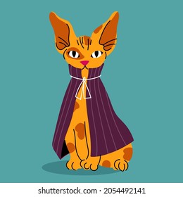 Gato mágico vestido. Ilustración dibujada por mano