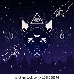 Magic cat face with moon on forehead in the night sky. Masonic eye in triangle. Occult symbols on the starry sky background.