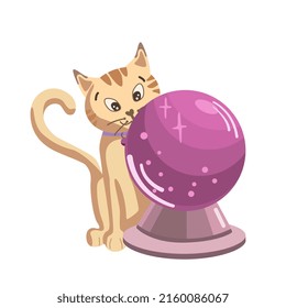 El gato mágico mira la bola de cristal de la bruja. El gato de la bruja en Halloween