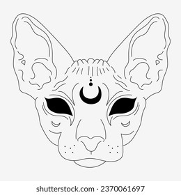 Magic cat tattoo drawing is strange