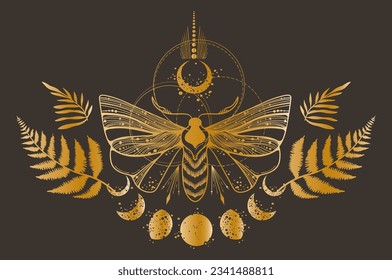 Magic celestial butterfly, fern leaves, plants and moon in golden foil texture clipart, mystic space moth with crescent, gold colored insects in vector, isolated design element