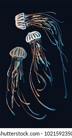 The magic color of marine jellyfish. Transparency and finesse of jellyfish. Creating ocean patterns