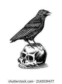 Magic Crow sits on a skull. Raven sketch. Vintage engraving Mystical element in boho style. Doodle outline. Esoteric occult Hand drawing. Vector illustration.