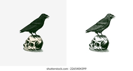 Magic Crow sits on a skull. Raven sketch. Vintage engraving Mystical element in boho style. Doodle outline. Esoteric occult Hand drawing. Vector illustration.