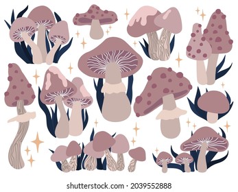 Magic esoteric color mushrooms collection. Amanita, leaves and stars. Vector witchcraft set