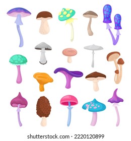 Magic Fantasy Mushrooms with Fancy Cap on Stem Big Vector Set