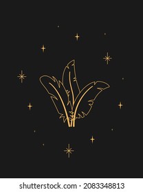 Pluma mágica en chispas, ilustración del tarot de contorno.