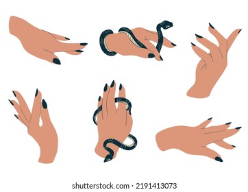 Magic female hands set holding a snake