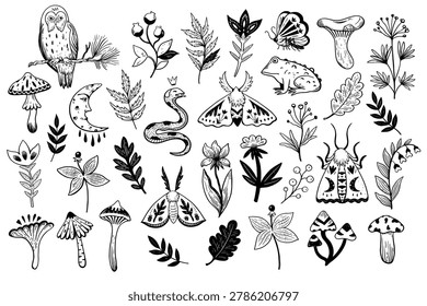 Magic forest doodle elements. Cute moths, animals, mushrooms and plants. Big hand-drawn collection of vector elements.