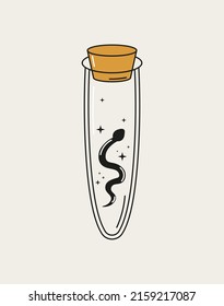 Magic glass bottle with a snake inside.  Vector illustration isolated on white background. Logo, icon or print
