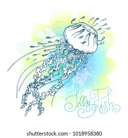 Magic glowing jellyfish underwater. Undersea world. Hand drawn fairy tale illustration for inspiration