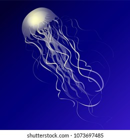 Magic glowing jellyfish underwater. Undersea world. Flock of jellyfish swimming in the ocean. Vector.