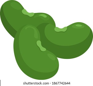 Magic Green Beans, Illustration, Vector On White Background.