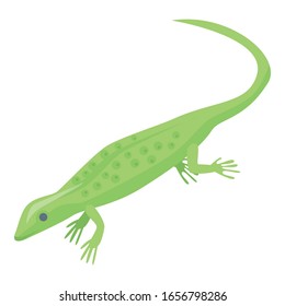 Magic green lizard icon. Isometric of magic green lizard vector icon for web design isolated on white background