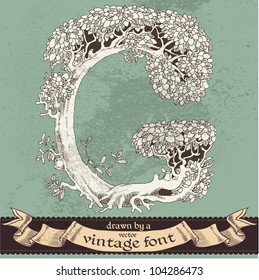 Magic grunge forest hand drawn by a vintage font - G