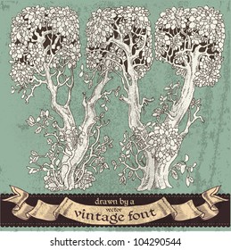 Magic grunge forest hand drawn by a vintage font - W