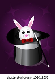 Magic hat and rabbit