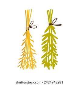 Magic herbs and plants. Witchcraft accessories, occult ritual tools cartoon vector illustration