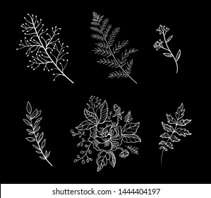 Magic herbs. Set of floral illustrations. Design elements.