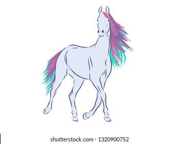 the magic horse vector illustration