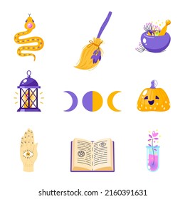 Magic icon set. Cartoon illustration of mystery symbols such as witch broom, spell book, snake, jar of potion, moon, lantern, pumpkin, mortar and pestle isolated on a white background. Vector 10 EPS.