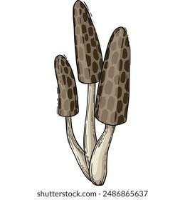 Magic magic inedible mushroom illustration