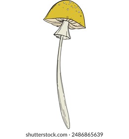 Magic magic inedible mushroom illustration