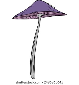 Magic magic inedible mushroom illustration