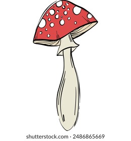 Magic magic inedible mushroom illustration