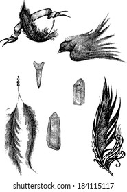 magic items, magic crystals, black pen, witchcraft, magic, shark tooth, black bird, vector magic,two pens, ink pens, fountain bird,charms,crystals vector,vector bird feathers 