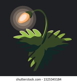 Magic luminous forest plant on a dark background vector