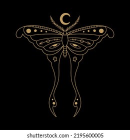 Magic luna moth celestial moon night butterfly magical vector and jpg printable image, unique boho clipart illustration, editable isolated details. Perfect for poster or postcard template, t-shirt