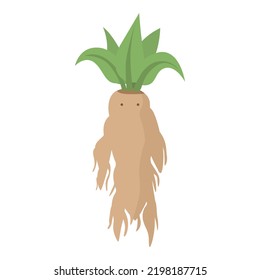 Magic mandrake icon cartoon vector. Green herb. Garden magic