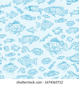 Magic Marine Sea Life sketch Vector Pattern
Seamless texture with funny fish characters on turquoise background